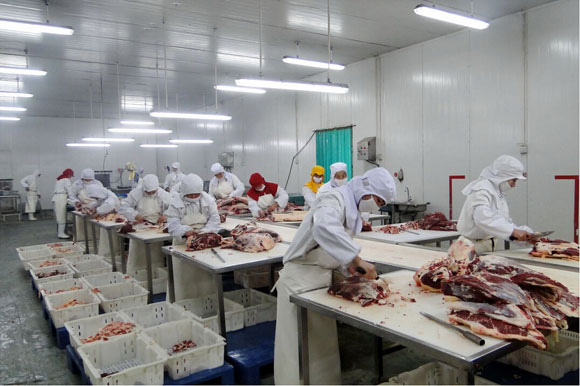 肉类产品生产加工车间