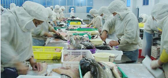 谢记食品――鱼类产品生产加工车间